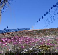 Talgomine Reserve - Sydney Tourism