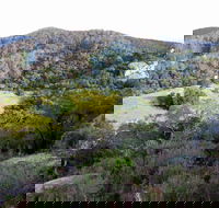 The Bellbird - Sydney Tourism