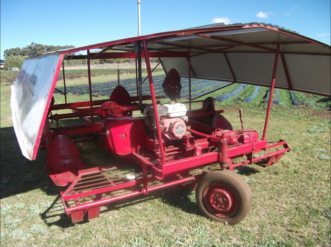 The Super Strawberry - Sydney Tourism 2