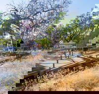 Timber Creek - Sydney Tourism