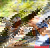 Tjapukai Aboriginal Cultural Park - Sydney Tourism