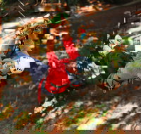 Trees Adventure - Glen Harrow Park - Sydney Tourism