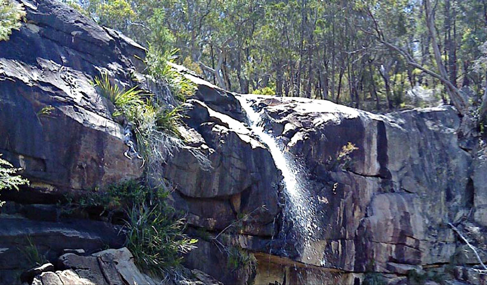 Torrington NSW Sydney Tourism