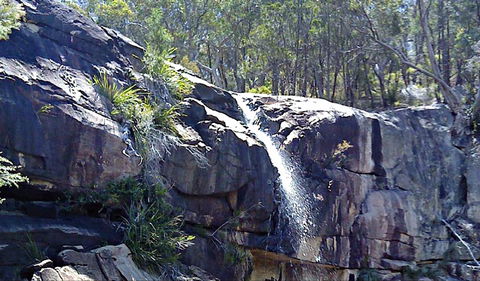 Ugly Corner Falls Walking Track - Sydney Tourism 0