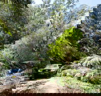 Wadbilliga Road drive - Sydney Tourism