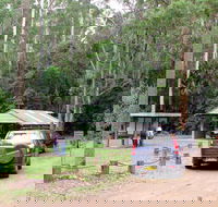 Wallingat Forest Drive - Sydney Tourism