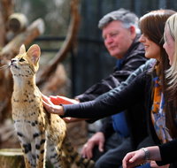 Werribee Open Range Zoo - Sydney Tourism