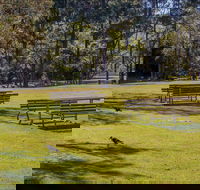 Wombeyan picnic area - Sydney Tourism