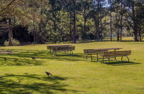 Wombeyan Picnic Area - Sydney Tourism 0