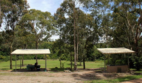 Back Creek Picnic Area - Sydney Tourism 0