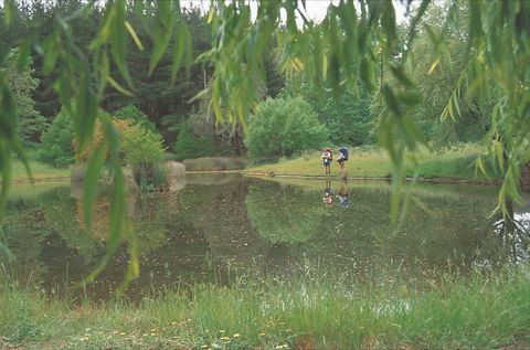 Balingup - Sydney Tourism 1