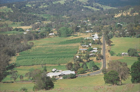 Balingup - Sydney Tourism 2