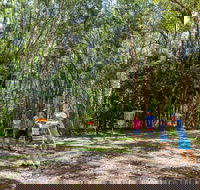 Ballina Disc Golf - Sydney Tourism