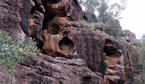 Bertha's Gully Walking Track - Sydney Tourism 0
