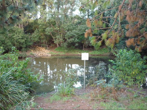 Birdwing Butterfly Walk - Sydney Tourism 0