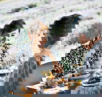 Boonah - Sydney Tourism