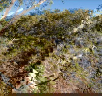 Boonoo Boonoo Falls picnic area - Sydney Tourism