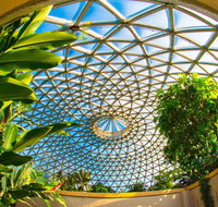 Brisbane Botanic Gardens Mount Coot-tha - Sydney Tourism