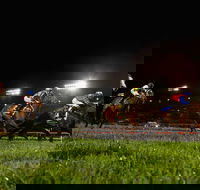 Canterbury Park Racecourse - Sydney Tourism