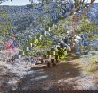 Caves circuit Lamington National Park - Sydney Tourism