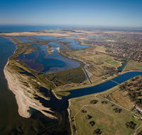 Cheetham Wetlands - Sydney Tourism