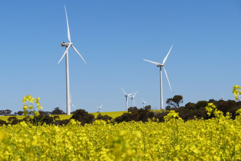 Collgar Wind Farm Merredin - Sydney Tourism 1