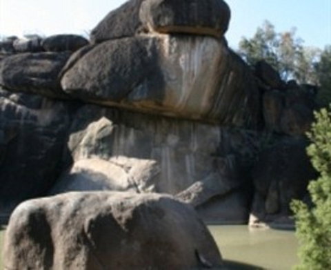 Cranky Rock Nature Reserve - Sydney Tourism 0