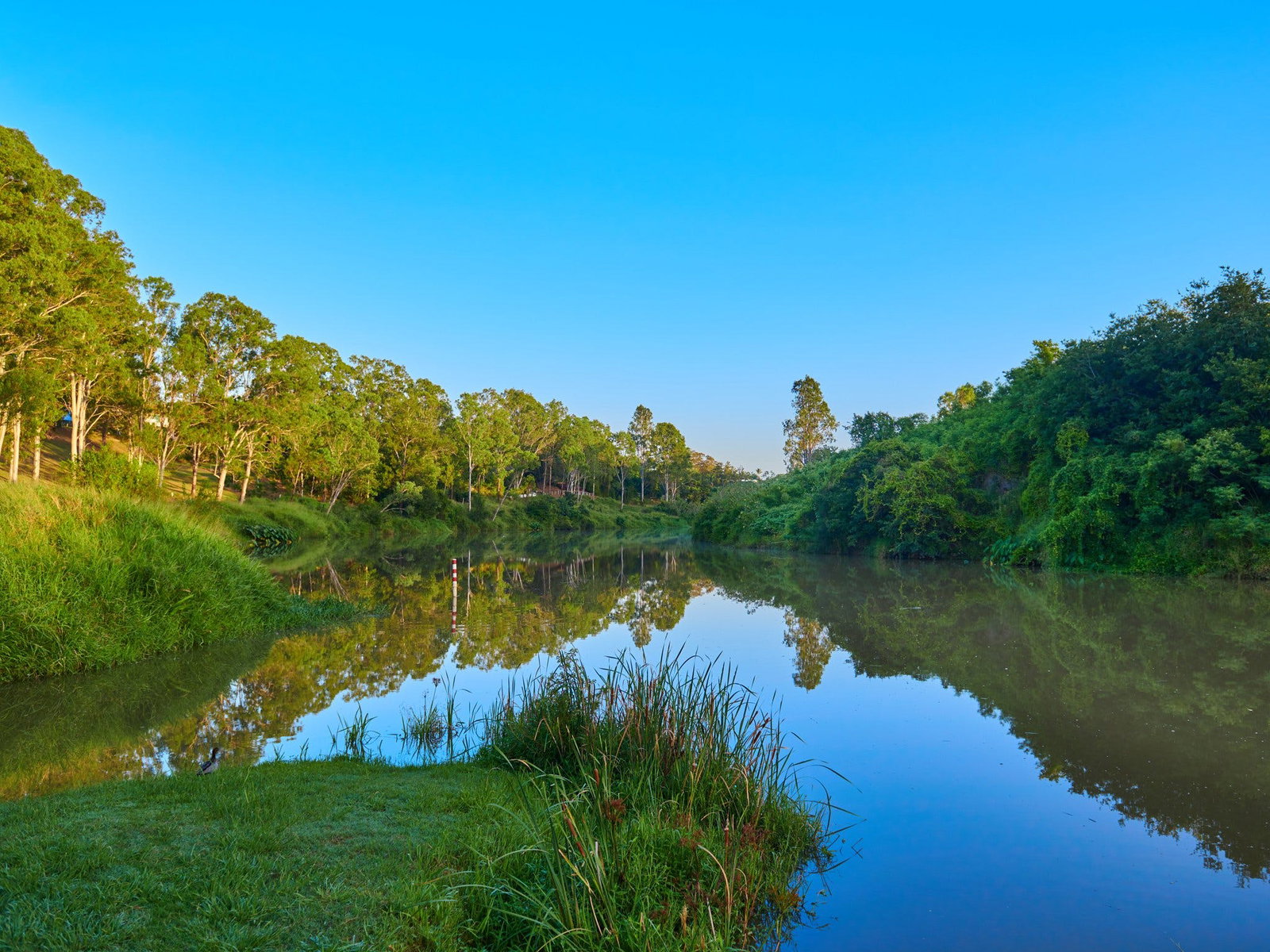 Bellbowrie QLD Sydney Tourism