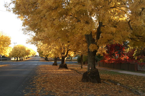 Crookwell - Sydney Tourism 1