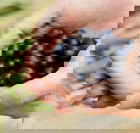 Eat Pick Grow Trail - Wanneroo and Chittering - Sydney Tourism