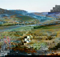 Farm Flavour Trail Chittering Valley - Sydney Tourism