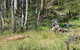Federal Falls Walk - thumb 0