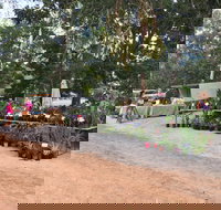 Fred's Pass Rural Market - Sydney Tourism