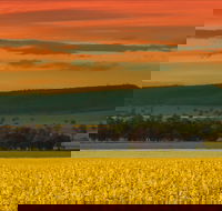 Galore Hill Scenic Reserve - Sydney Tourism