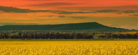 Galore Hill Scenic Reserve - Sydney Tourism 0