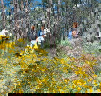 Gidgegannup - Sydney Tourism