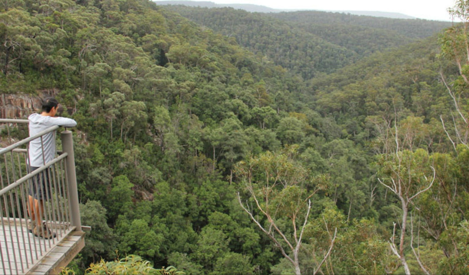 Twelve Mile Peg NSW Sydney Tourism