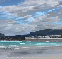 Hakea Walk Trail East Fitzgerald National Park - Sydney Tourism