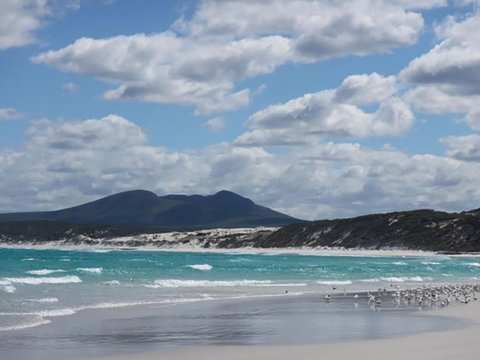 Hakea Walk Trail, East Fitzgerald National Park - Sydney Tourism 0