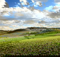 Hodgson Vale - Sydney Tourism