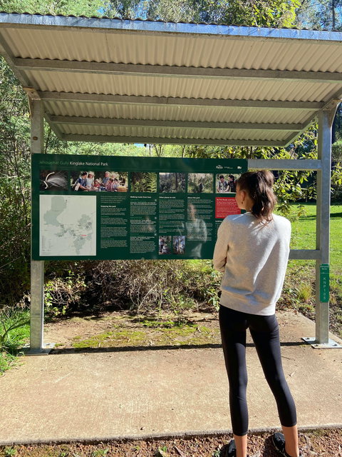 Jehosaphat Gully Picnic Area - Sydney Tourism 0