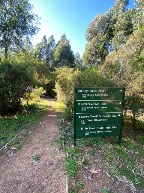 Jehosaphat Gully Picnic Area - Sydney Tourism 2