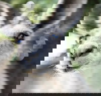 John Egan Pioneer Track - Sydney Tourism