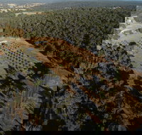 Julimar Date Garden - Sydney Tourism