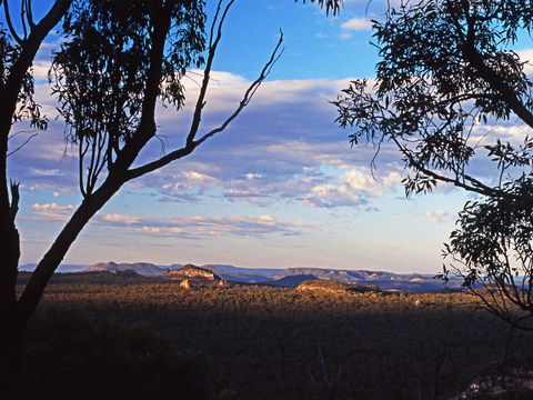 Ka Ka Mundi, Carnarvon National Park - Sydney Tourism 0
