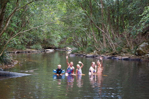 Kerewong State Forest - Sydney Tourism 0