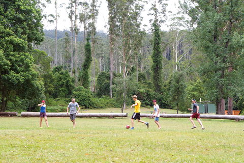 Kerewong State Forest - Sydney Tourism 1