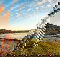 Killalea Reserve - Sydney Tourism