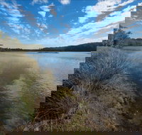 Lake Innes Nature Reserve - Sydney Tourism