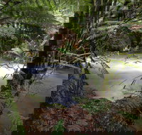 Marriotts Falls and Junee Caves - Sydney Tourism